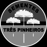 Sementes Três Pinheiros